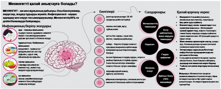 Менингокок инфекциясы туралы