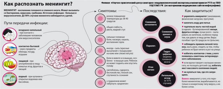 Менингокок инфекциясы туралы